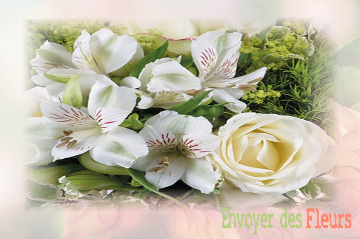envoyer des fleurs à à TEISSIERES-LES-BOULIES
